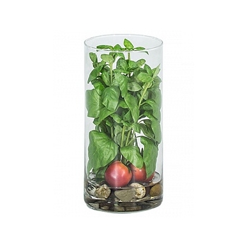 Композиция из искусственных растений basil tomatos stones  Диаметр — 15 см