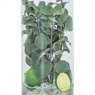 Композиция из искусственных растений int lemon ice  Диаметр — 15 см