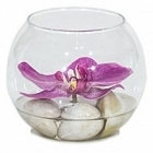 Композиция из искусственных растений orchid розовый light stones  Диаметр — 10 см