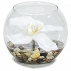 Композиция из искусственных растений orchid white, белого цвета stones  Диаметр — 10 см